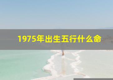 1975年出生五行什么命