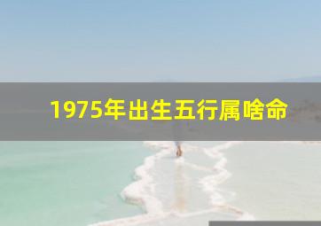 1975年出生五行属啥命