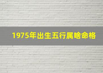 1975年出生五行属啥命格