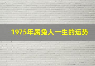 1975年属兔人一生的运势