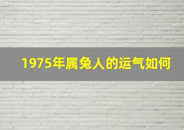 1975年属兔人的运气如何