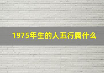 1975年生的人五行属什么