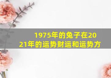 1975年的兔子在2021年的运势财运和运势方