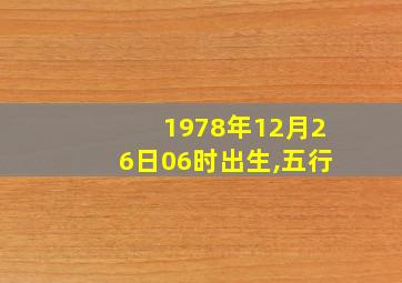 1978年12月26日06时出生,五行