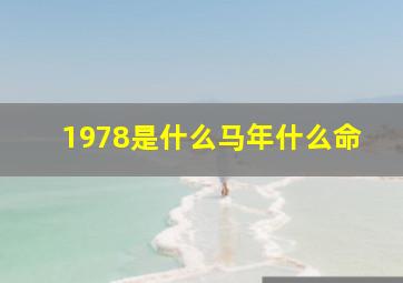 1978是什么马年什么命