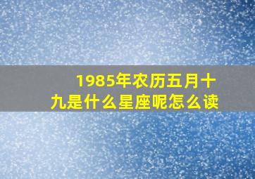 1985年农历五月十九是什么星座呢怎么读