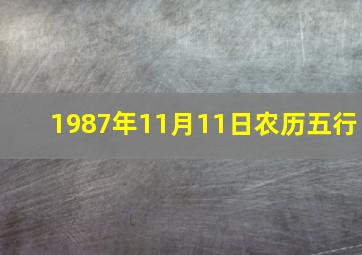 1987年11月11日农历五行