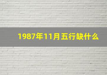 1987年11月五行缺什么