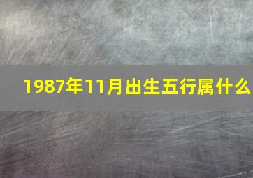 1987年11月出生五行属什么