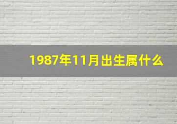 1987年11月出生属什么