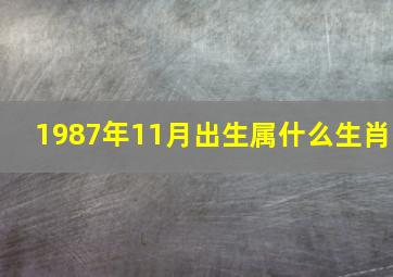 1987年11月出生属什么生肖