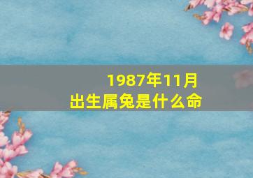 1987年11月出生属兔是什么命