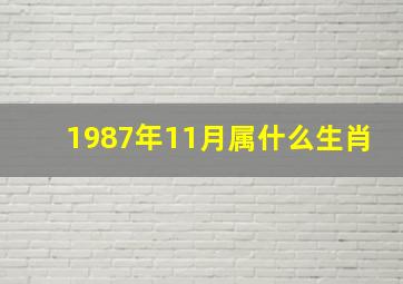 1987年11月属什么生肖