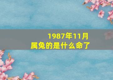 1987年11月属兔的是什么命了