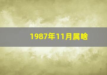 1987年11月属啥