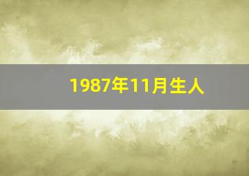 1987年11月生人