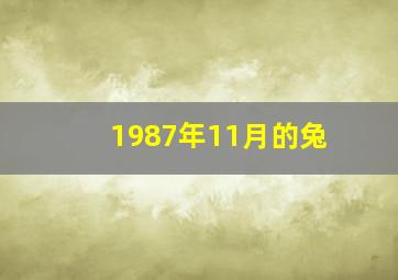 1987年11月的兔