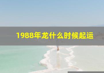 1988年龙什么时候起运