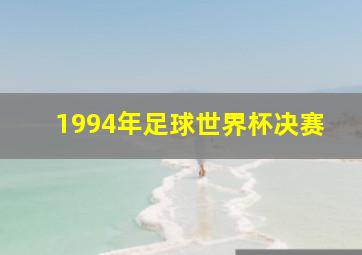 1994年足球世界杯决赛