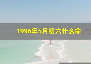 1996年5月初六什么命