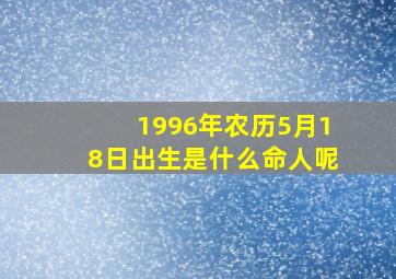 1996年农历5月18日出生是什么命人呢