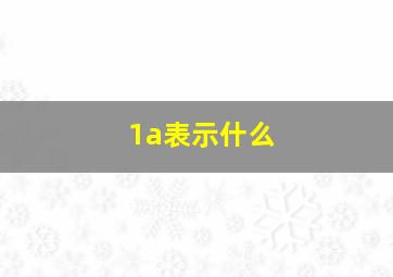 1a表示什么