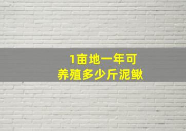 1亩地一年可养殖多少斤泥鳅