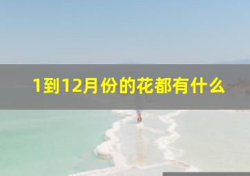 1到12月份的花都有什么