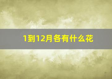 1到12月各有什么花