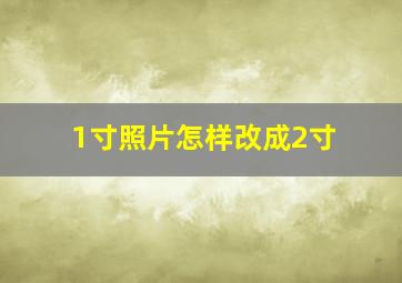 1寸照片怎样改成2寸