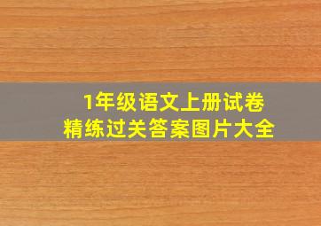 1年级语文上册试卷精练过关答案图片大全