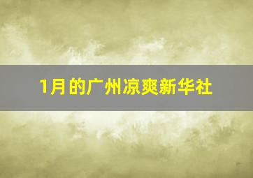 1月的广州凉爽新华社