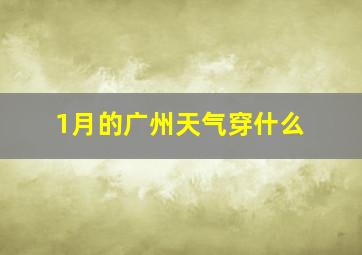 1月的广州天气穿什么