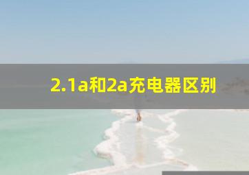 2.1a和2a充电器区别