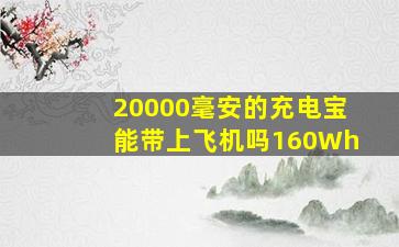 20000毫安的充电宝能带上飞机吗160Wh