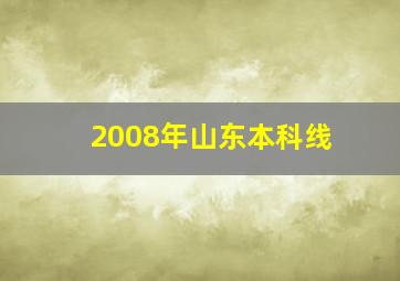 2008年山东本科线