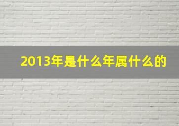 2013年是什么年属什么的