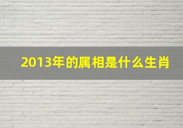 2013年的属相是什么生肖