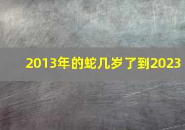 2013年的蛇几岁了到2023