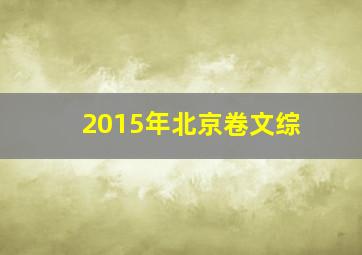 2015年北京卷文综