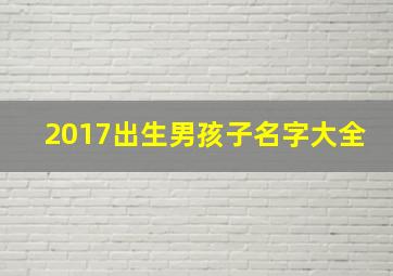 2017出生男孩子名字大全