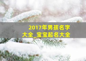 2017年男孩名字大全_宝宝起名大全