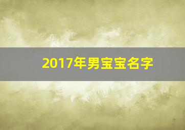 2017年男宝宝名字