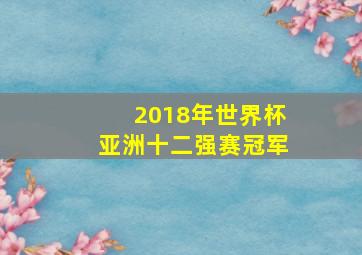 2018年世界杯亚洲十二强赛冠军