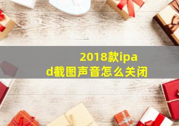 2018款ipad截图声音怎么关闭