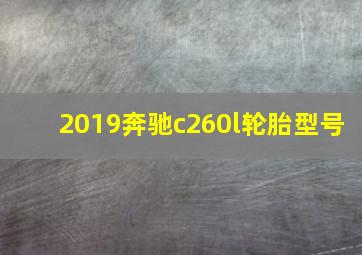 2019奔驰c260l轮胎型号