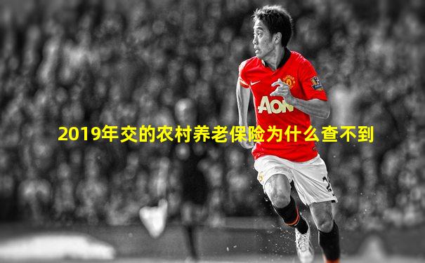 2019年交的农村养老保险为什么查不到