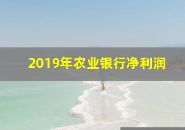 2019年农业银行净利润