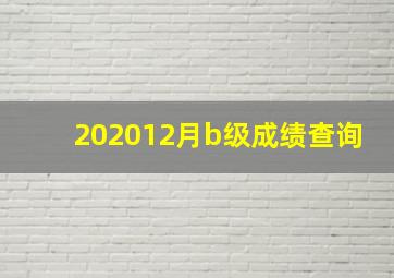 202012月b级成绩查询