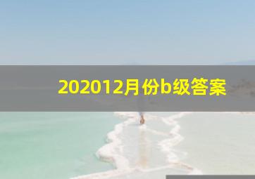 202012月份b级答案